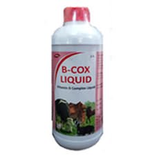 B-COX LIQUID
