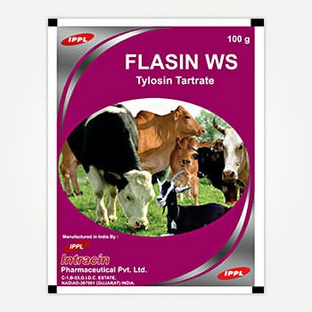 FLASIN WS