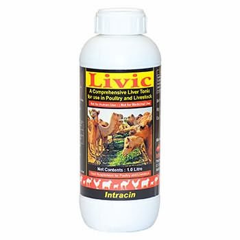 LIVIC